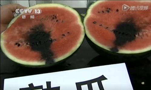 网上吃瓜的视频都是在哪看的呀,网上吃瓜视频的聚集地